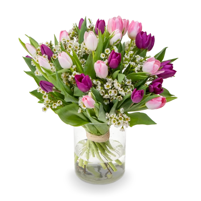 Bouquet of tulips purple